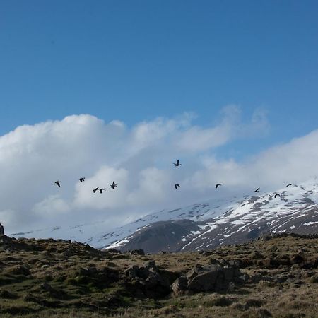 Bragdavellir Cottages Djupivogur Luaran gambar